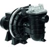 Pompe de filtration Sta-rite - Pentair - 1 CV mono 16m³/h