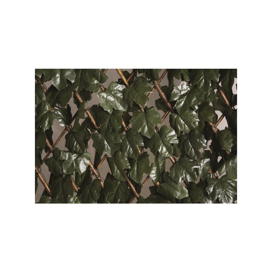 Treillis osier extensible à feuilles Catral - L.2 m - H.1 m