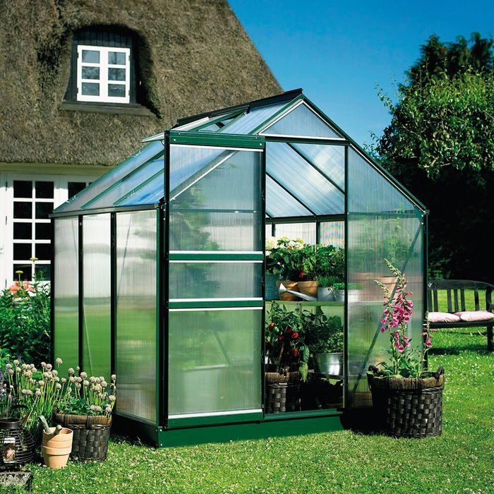 Serre Popular 66 Halls - 3,8 m² - Polycarbonate - Vert